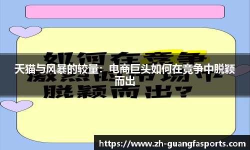 天猫与风暴的较量：电商巨头如何在竞争中脱颖而出